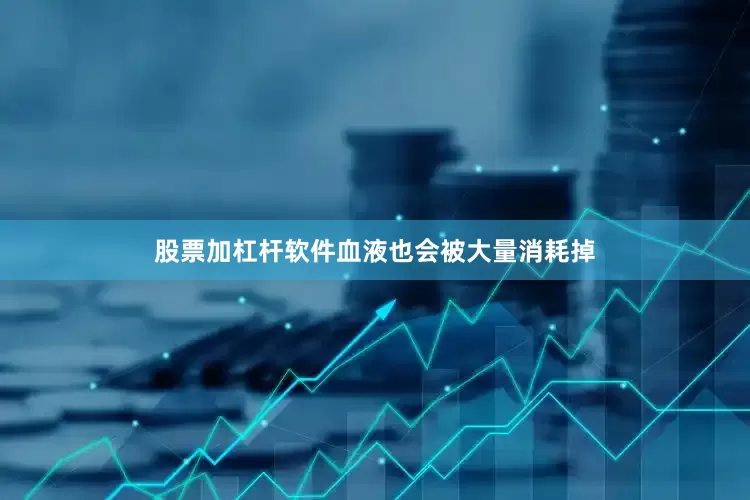股票加杠杆软件血液也会被大量消耗掉