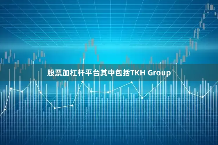 股票加杠杆平台其中包括TKH Group