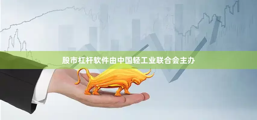股市杠杆软件由中国轻工业联合会主办