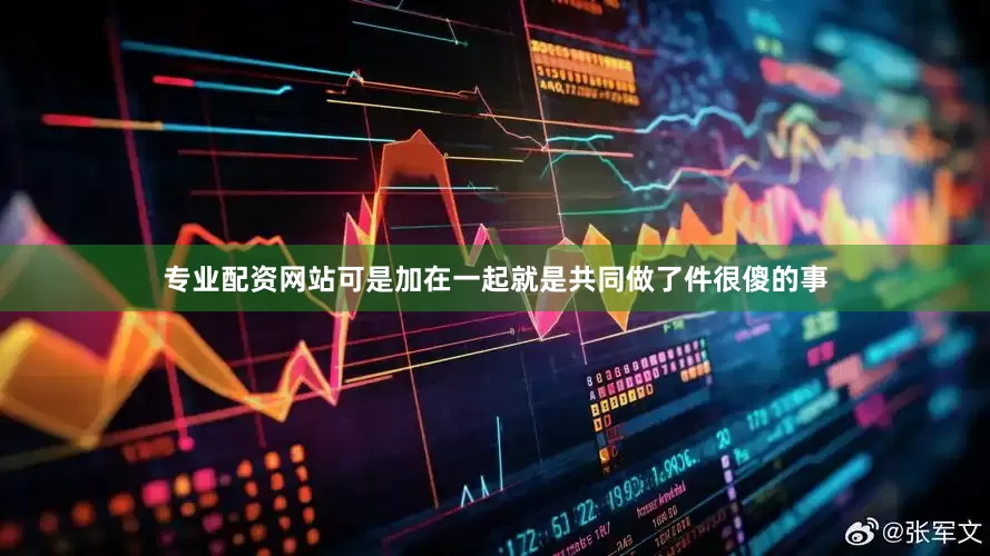 专业配资网站可是加在一起就是共同做了件很傻的事